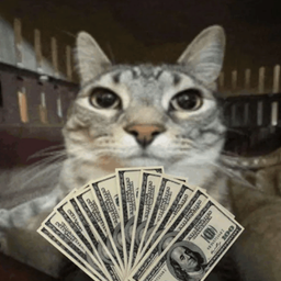 Coin image for BHTi2Ep43GVYdRaNFPNpx4fgXA5adBSQvr1GaxTGpump