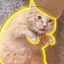 Coin image for BHdFTV64T7vUACpf3BvfxBG8mgNFVegqdJMpCJ881EyB
