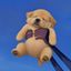 Coin image for BJSaqbyDxQk46waN7rPuDHRPt2PqM6CVYgRNN4XFpump