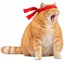 Coin image for BJvq9NdqoNEXHrtE7LGxhBG75e6QxFy7EKGL9EQtLZHP