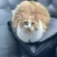 Coin image for BKoNJtjcCR9oJTzTmRnGAEJoBiGkVSsBQYwSxfzzpump