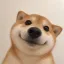 Coin image for BLFK8DwjKd79jfhquYmKpHaB4ep2YAYv2N9ajs2zpump