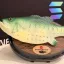 Coin image for BLWUQ9mMkRw9poXPYS66iVxFQD4vq4h4HuQY88EPpump