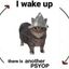 Coin image for BLdvgzidFoaZErqNABfLyQpj5qUsPXsaW3gtN3kApump