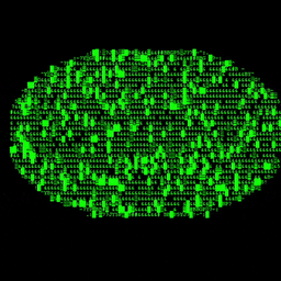 Coin image for BMRsdotLZDocZmpYY2uBoXXPXtX2JtbRpyUz8T7Dpump