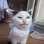 Coin image for BNgsP7w2fZSePvjGZqwioBFD56bYcLF7kARswC8Qpump