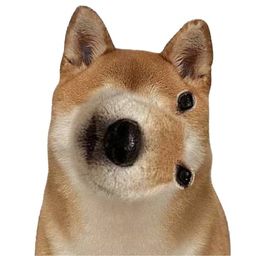 Coin image for BQUsJfhJM2VfME5bnKogEqno7A8KA5UNF4jsvy94pump