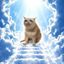 Coin image for BQzEtam7DSRN3udWYkwYW8XtWeQDPJewM5eQFJdKpump