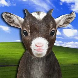 Coin image for BSt1PpAnv3PQpEt9KSyErGD7FQjXDMwpXngg1jkEpump