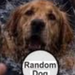 Coin image for BT1Si6shkZ1deX8xZ95mKVa23k9SgkaLnbckPUqzpump