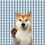 Coin image for BTQbx7GTdwHYdLjv3DfzKZKfLSbCceastzCFE9Mmpump