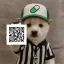 Coin image for BUKdFvwCUJbSYhfj3akmqNkm1pmK8g5wu6ukYxVyAMd