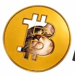 Coin image for BUghyZFJDUTYNkMVHMPtAPsoYW93ST6ebUuPLsJTpump