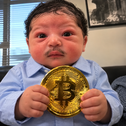 Coin image for BUsejwY6ibNxym8wEVgdf7Tb4hYxSW6SZfMZt6arpump