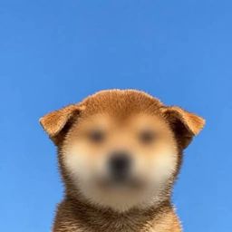Coin image for BVLpdfgbj6WmUz5ytSA2VmJsCUHzGSXWnseQZNjRpump