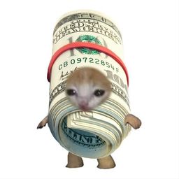 Coin image for BVpik5uMLA18LDzMMuxieuL82kyiaY7M9x8feYzGpump