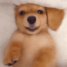Coin image for BWBhqjsM2kbcdnnpiZPE5YfDdgFHcQLAdYoxrot9pump