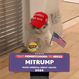 Coin image for BWf4bnEAd3m2XobMEFLP6cew8KWNgRBUa2NjoKM6pump
