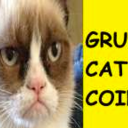 Coin image for BXfuF2GihGHBJWW9A28rL3ogBhezfUCLb6NeJiC2pump