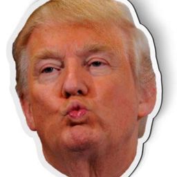 Coin image for BbP2C62mmVMikmZw2MegFxdEEgZr7aQogffzgSWqpump