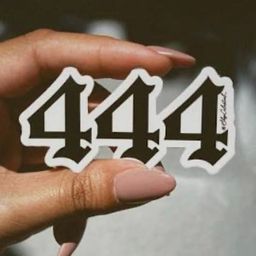 Coin image for BbYty8fSBKNGRHbvx6SgFu3TPXXbNwUCvounfskRpump