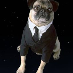 Coin image for BbonPqJ29CZsXSKT7Ef8VCGm9PHSGdw2eHGAE9fGpump