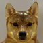 Coin image for BeiErQfcJzFZogucrE4aokk4isRQgyWaugTn4kYApump