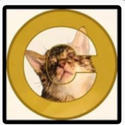 Coin image for BemWm8uF91GaPtCy3DdhcSDSgCJPGNyuYpddSDuXpump