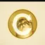 Coin image for BfbFTRgq4cTs2VwrtiL1WKAHDcpB1F9vqdpndP76pump