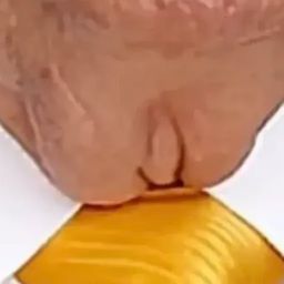 Coin image for BfkvyYLFutbhNv9QBvYaX36W4YXWqNfDt5ppPjoHpump