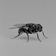Coin image for BgPVa7sDjUaS5gBFZTFLsgFJBCYYmLcuBuNwsGcRRgxv