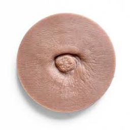 Coin image for BgXMoPiVYPFNSakaoc4UjRrw4U5SfArZCHWuoF8upump