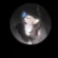 Coin image for BghNhRqpdPxPjo3CqNG7qaUgN1tdM9WJzYFggC4meCb8