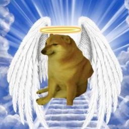 Coin image for BhKAaNRbow6hgNi6QX5tT8gV1XwQRdogf65njFPXT7Yt