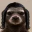 Coin image for Bhd6vpaNh2h5oapheDthWdUKMeund4ANSmnbxbjupump