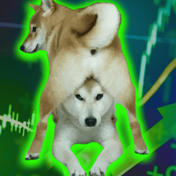 Coin image for BhovpnBdEB7LiVsoJMQzrR43yLimB1PyKGYPyVPJpump