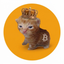 Coin image for BiTD5yN4bQ3xBggaoR8Dpc8enmdfzz8yAsNrWAFGcoiN
