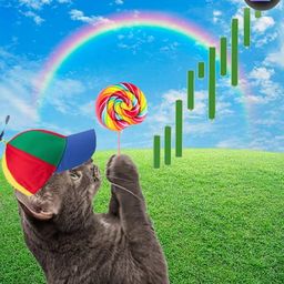 Coin image for BifDGWdXwvqEXgNBaZocnSYMNDfo1SAvxZretCKXpump