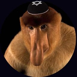 Coin image for BirvLzvbPQbXPdS8mfVULnaLKpAXxZ5MUcWae12Qpump