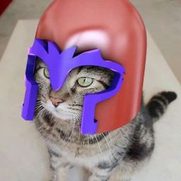 Coin image for BitPbBLfawephufDhawVZ4bmerCaWqBMME5i12Vgpump