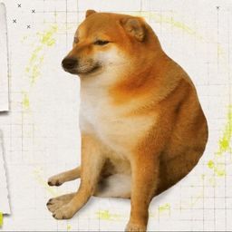 Coin image for Bmqms39TUJyYDoG4HTzMqMYZY91dkioDKzUtSt6pump