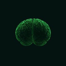 Coin image for BnBQ9vpfMQeuJLnqCG6M4FeeMFuF9ZtaGb1nFETQpump