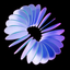 Coin image for BoZuyMAWQB3xGA1YNCkoUGaqMcuU6AWP5y1uXVNzpump