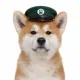 Coin image for BpQEfvta5GbEYFsm3dzzh1G6H8zcsyUtz69w9M6Spump