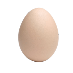 Coin image for BpjWevdnuJrAPB4e52spLaXbrSTc7XqNXgsX61XBpump