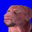 Coin image for BqLnLTG9wGGpfBCwRGrSRw3UAYpFk3PRPZjGf2CSpump