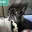 Coin image for BrPJ2g66kDBvKH7PzBkpF2LTJ6AgSuS25BEHuBYSxDbV