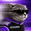 Coin image for BtboXJonFt3nV8Wz6zSSBgyXXWvjFrxhJC36oMcwpump