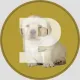 Coin image for BtpkoN6CTtbwntjRgreZb4NBtp5SXyWAj99dicC6pump