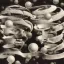 Coin image for Bu2yvgjSNwjuncxHey7TeKkJLYpib4oNibyimwhcRzcp
